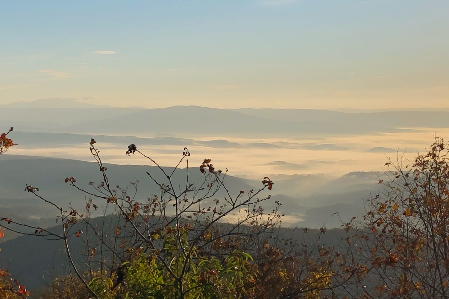The Preserve A Legacy of Luxurious Mountain Living The Preserve - horseback riding